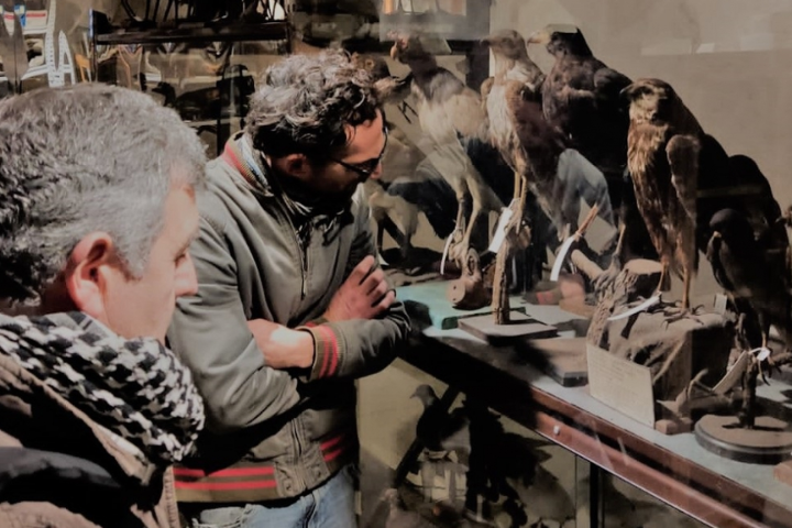 El Museo Gallardo invita al público a visitar sus depósitos zoológicos